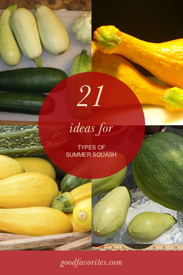 21 Ideas for Types Of Summer Squash Home, Family, Style and Art Ideas